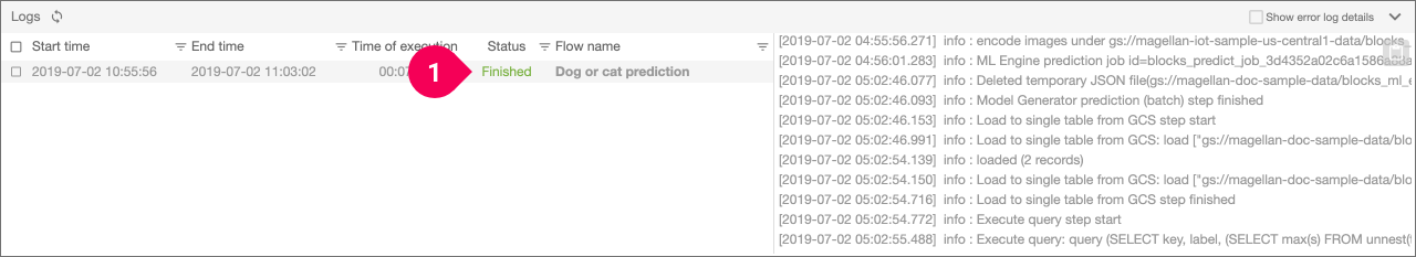 Confirming that the Flow executed successfully