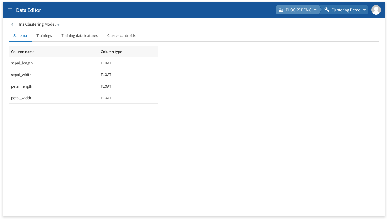 Checking the model’s schema info