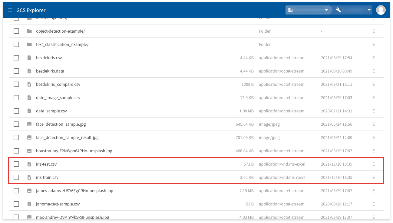 アップロード結果をGCS Explorerで確認する様子